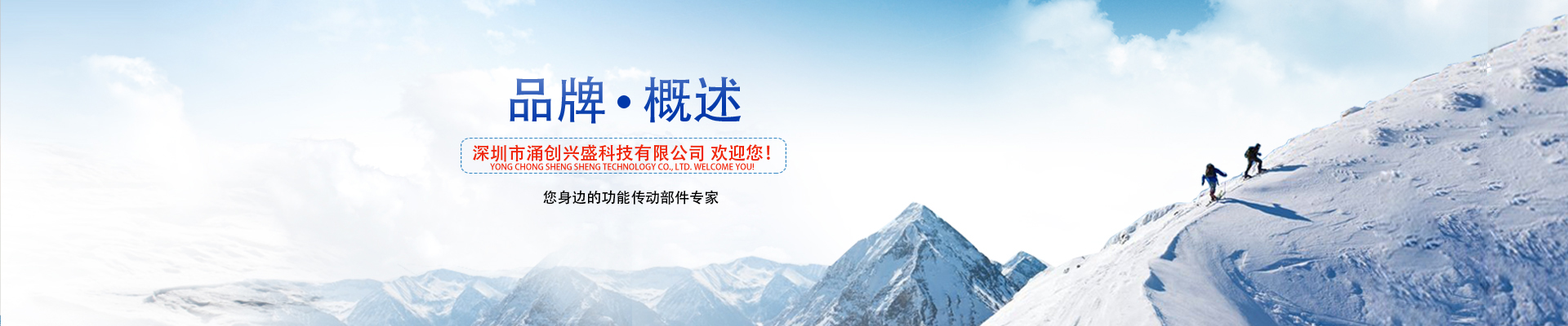 品牌概述